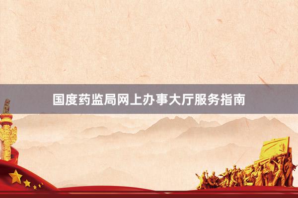 国度药监局网上办事大厅服务指南