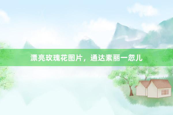 漂亮玫瑰花图片，通达素丽一忽儿