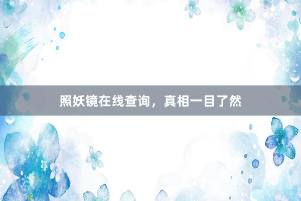 照妖镜在线查询,真相一目了然