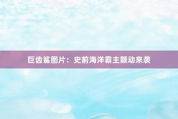 巨齿鲨图片：史前海洋霸主颤动来袭